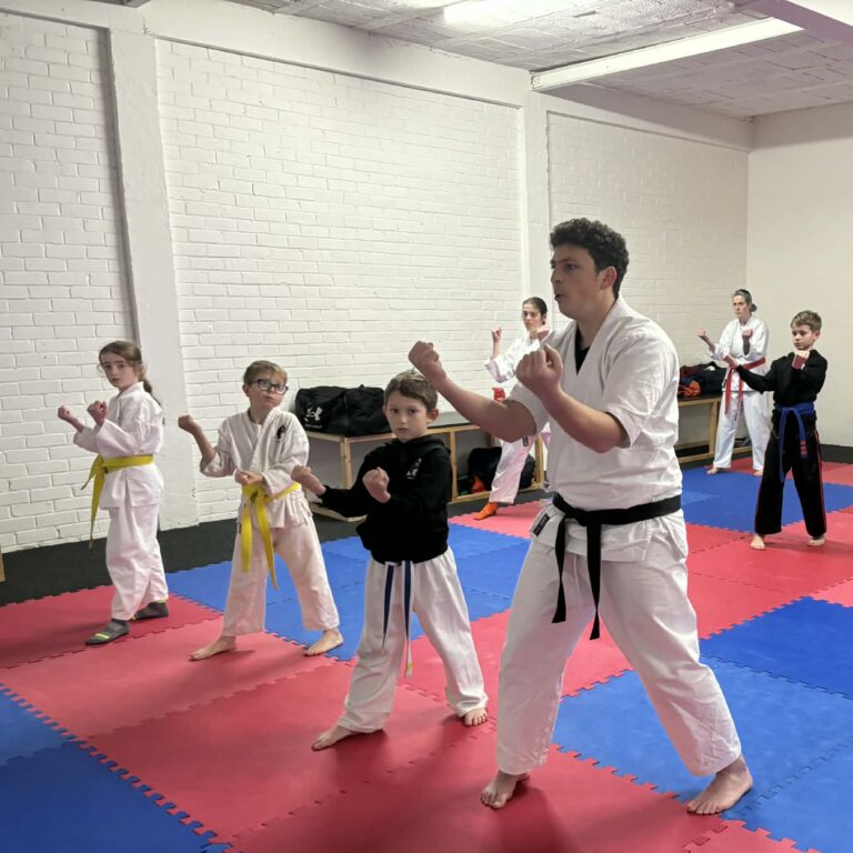 Family focused karate classes